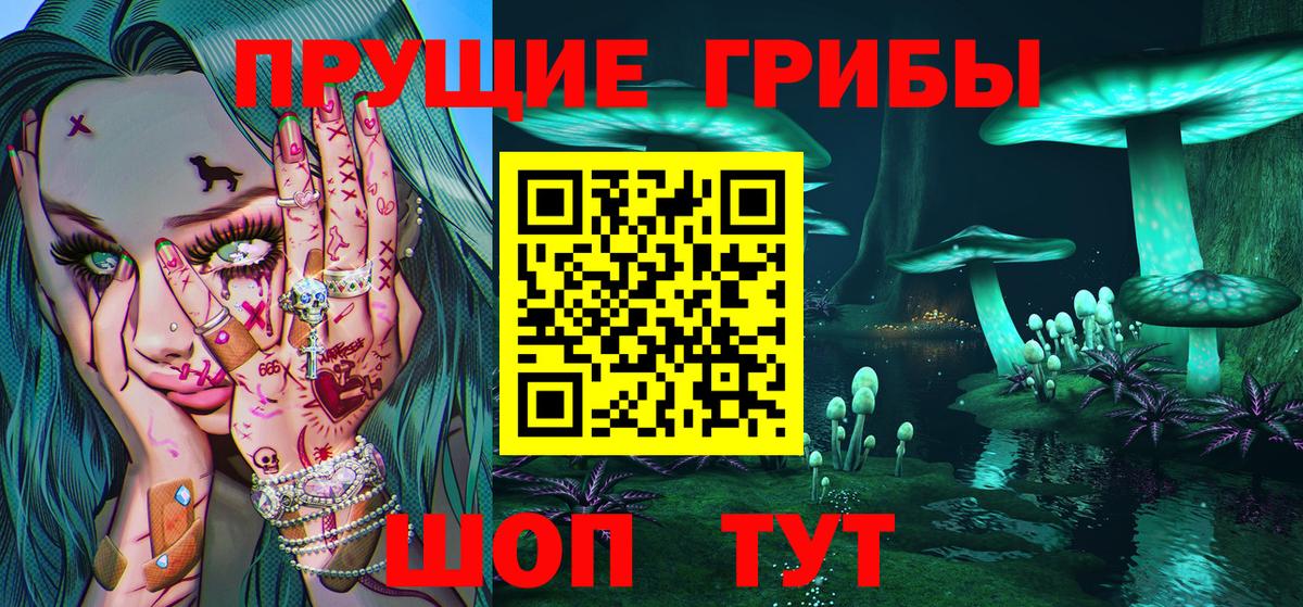 Анжеро-Судженск  где купить наркоту  Вход с VPN  Галлюциногенные грибы мицелий 