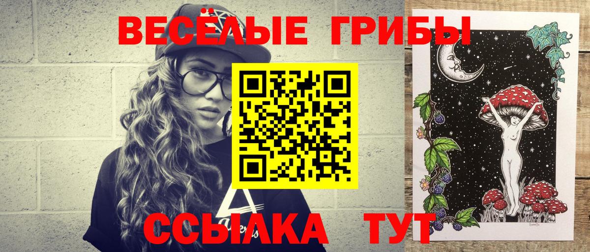 Галлюциногенные грибы Psilocybine cubensis Анжеро-Судженск